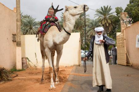 A Metlili à l'office de tourisme de Metlili des Chaamba (du 19 mars au 28 mars 2017)